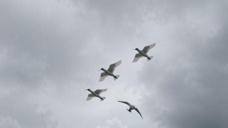 Sequía en la República Dominicana: expertos abogan por resiliencia y acción preventiva