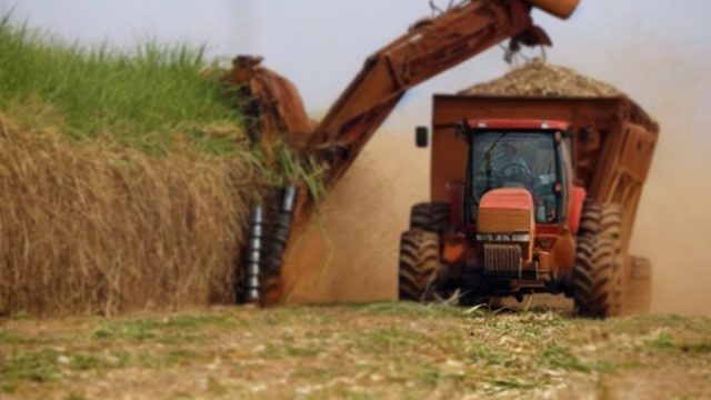 Azúcar: RD aumenta su cuota de exportación a Estados Unidos