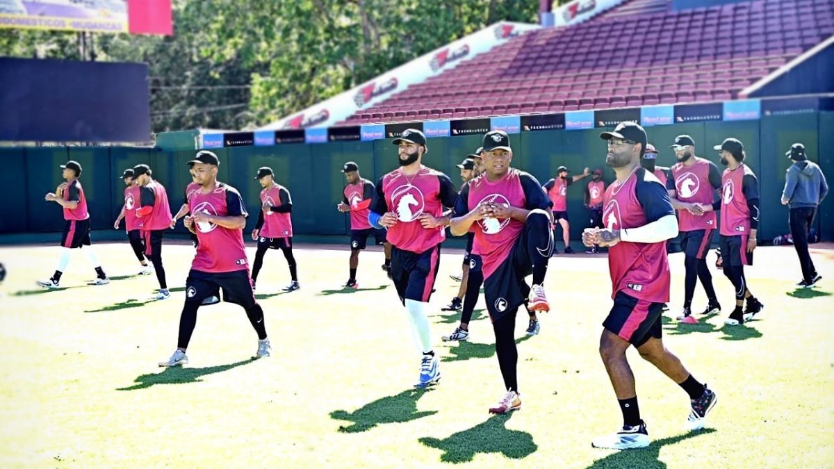 Gigantes del Cibao amplían plantilla con cinco nuevas incorporaciones