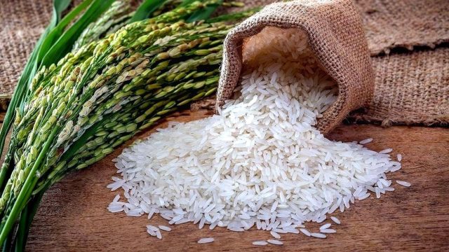 Gobierno acusado de debilitar protección al arrozante dominicano ante importaciones EE. UU.