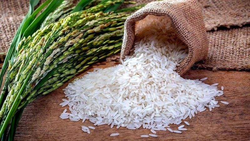 Gobierno acusado de debilitar protección al arrozante dominicano ante importaciones EE. UU.